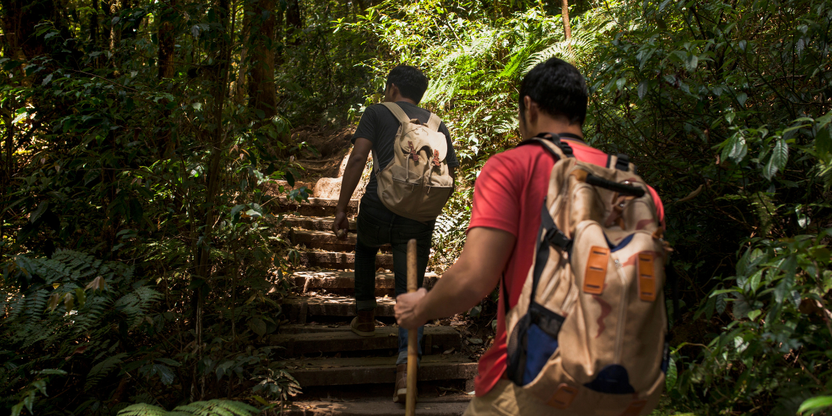 Rutas de senderismo en Oaxaca: paisajes únicos entre montañas y valles.