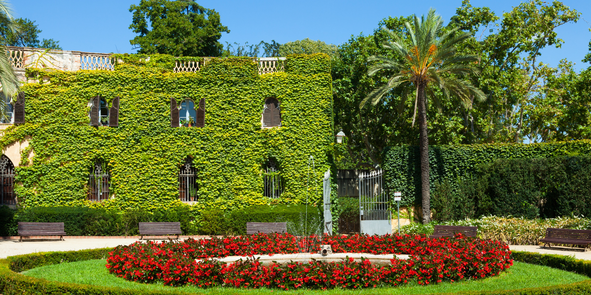 Los mejores jardines y espacios al aire libre en Oaxaca capital.