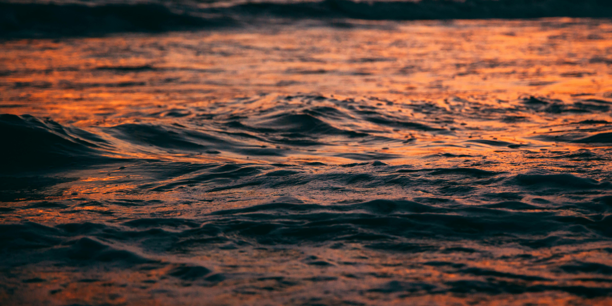 Las mejores playas vírgenes de Oaxaca para desconectarte del mundo.