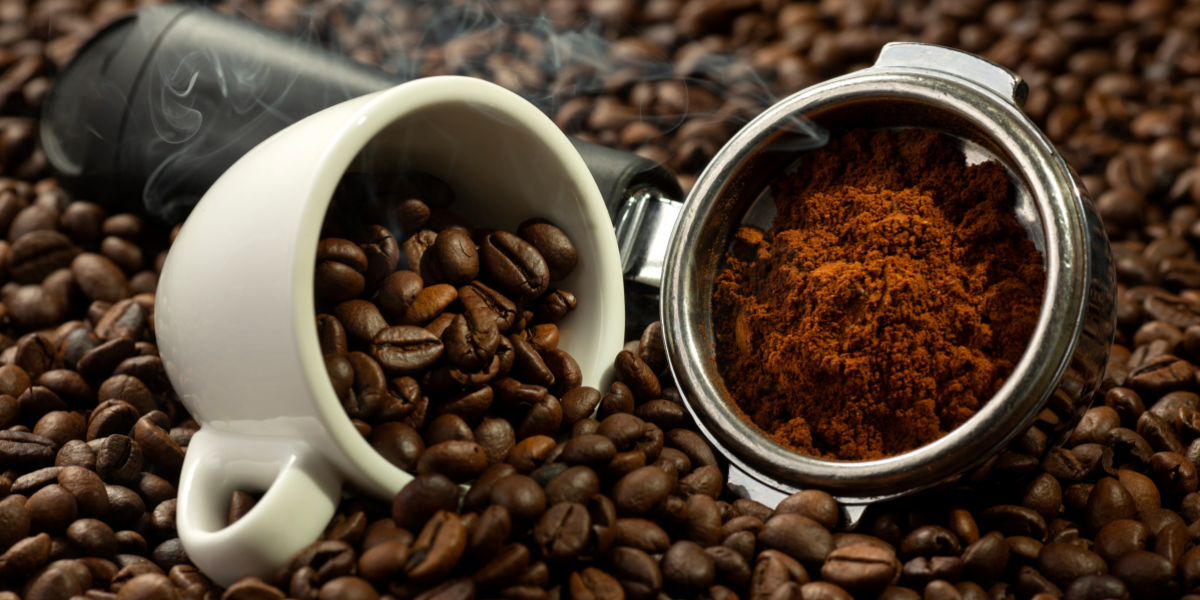 Los mejores tours de café en Oaxaca: del grano a la taza.