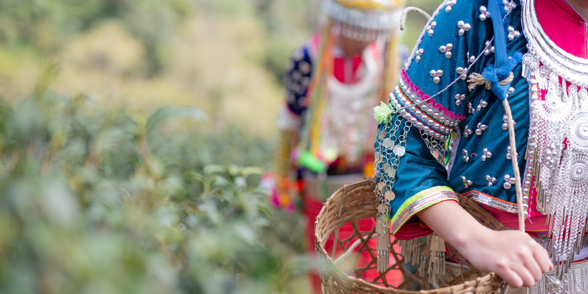 Teotitlán del Valle: tradición textil y experiencias comunitarias en el corazón zapoteca.