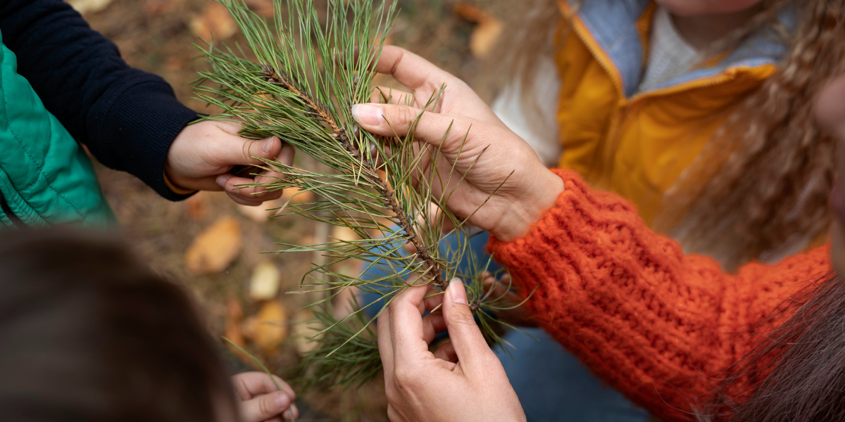 Capulálpam en diciembre: naturaleza, posadas y actividades para niños.